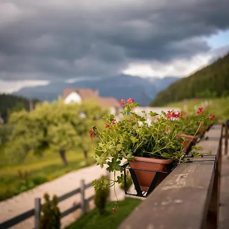 Casa De Sub Munte Case de vacanță *