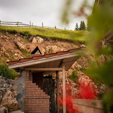 Case de vacanță Casa De Sub Munte *