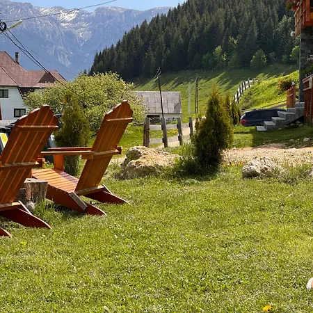 Case de vacanță Casa De Sub Munte *